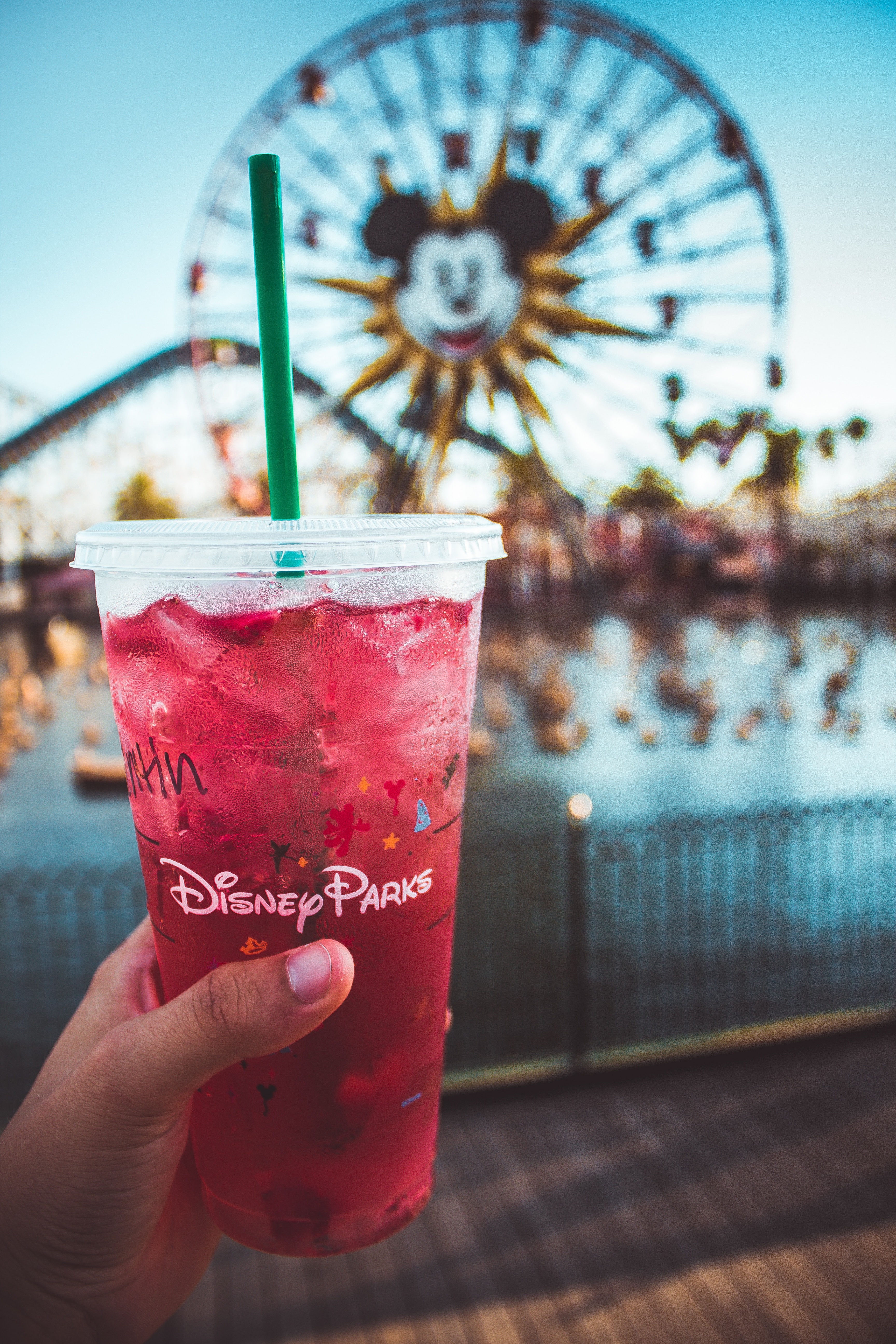 How to Plan a Trip to Disney World on a Budget